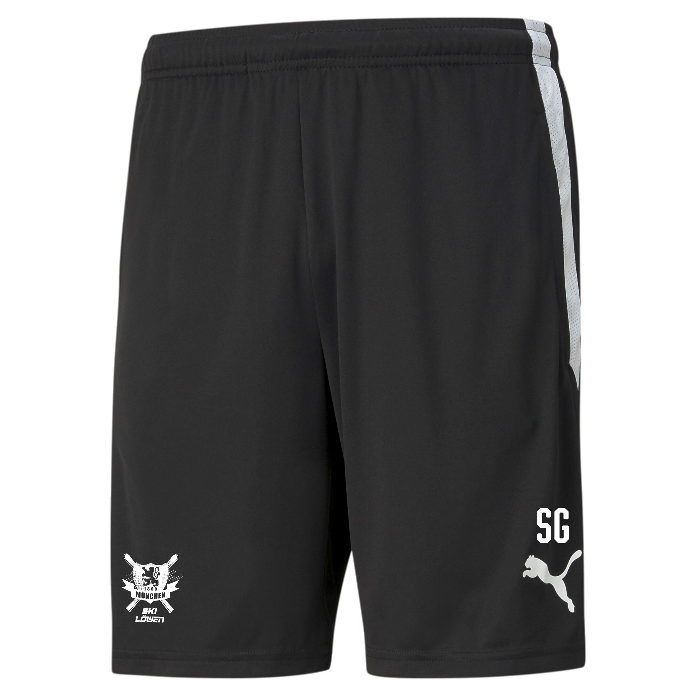 teamLIGA Training Shorts